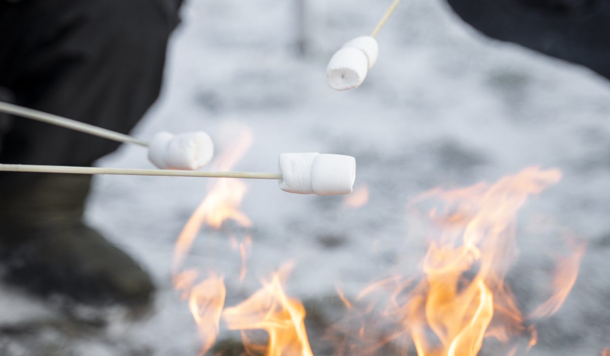 close-up-marshmallows-camping-fire