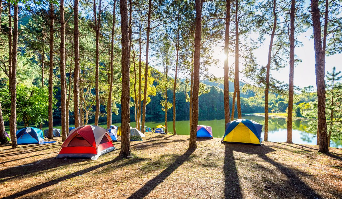 Camping tents under pine trees with sunlight at Pang Ung lake, Mae Hong Son in THAILAND.